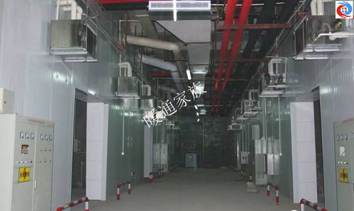 開開眼界 食用菌工廠化培育環境系統工程現場實拍