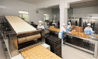 西安食品廠凈化車間規范要求與軟件開發前的潔凈車間設計關鍵點